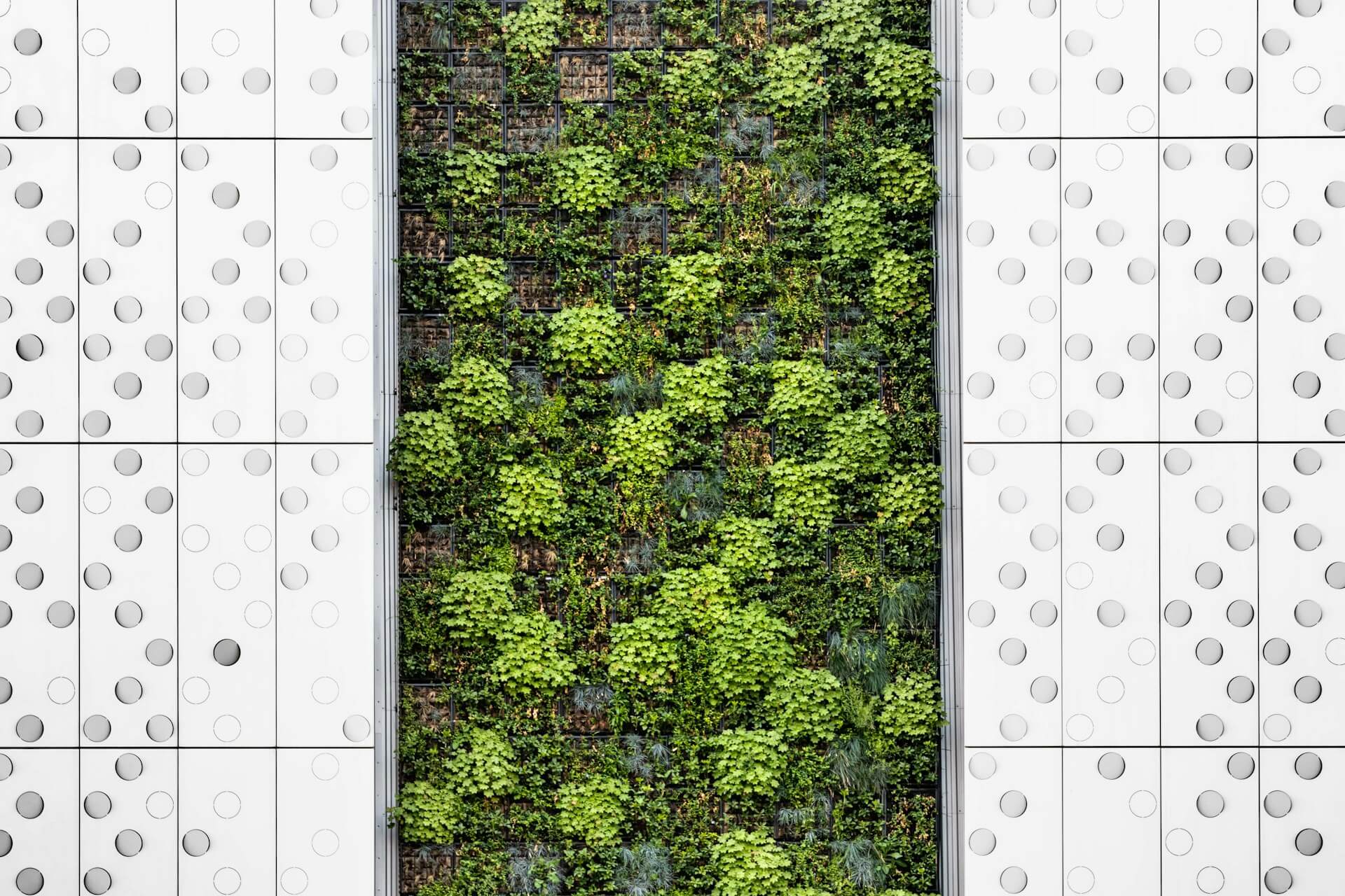 Building a Greener Future, One Design at a Time
